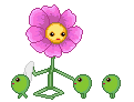 fiore fiore